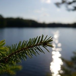 Meet your Posher, Tim